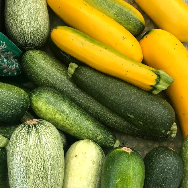 yellow and green squash